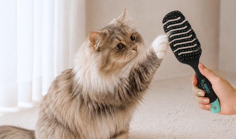 「ブラッシング嫌い」と決めつけない。愛猫に合わせる“パーソナライズブラッシング”