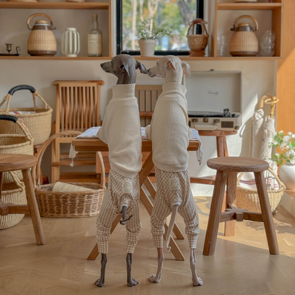 SOSOHANZI（ソソハンジ）イタグレ服 韓国犬服ブランド – hugmuk