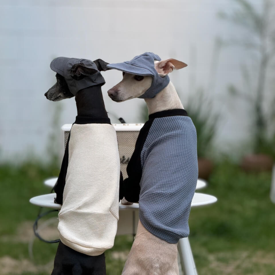イタグレ　タートルネック　#93 イタグレ服 ストライプ ボーダー Tシャツ 韓国犬服 室内着 小型