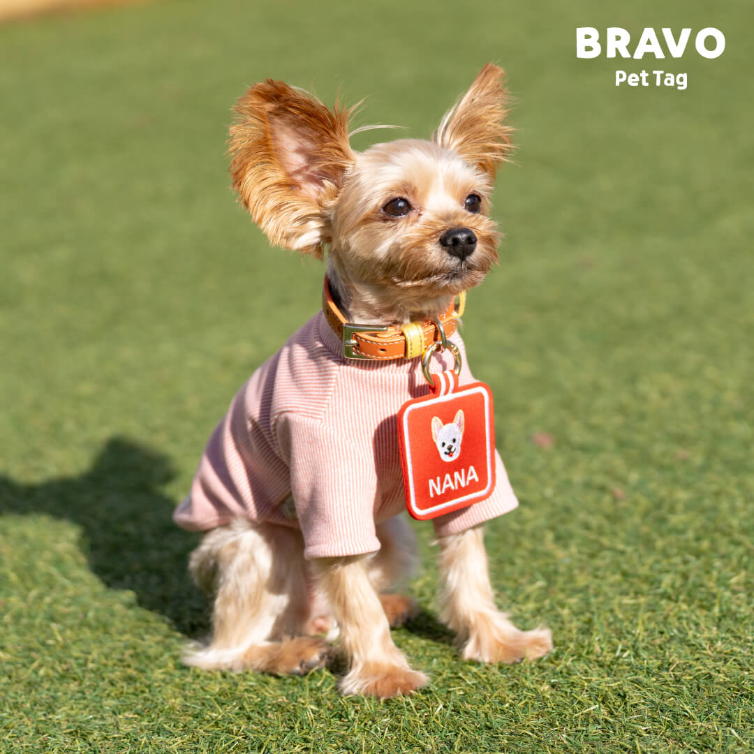 ブラボーペットタグ【オーダーメイド】 – hugmuk