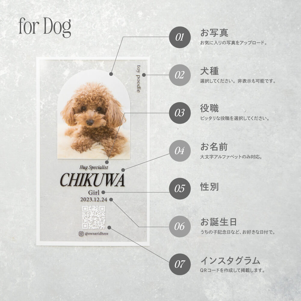 クリアメロウカード for DOG（ペット名刺・うちの子名刺）【オーダー 