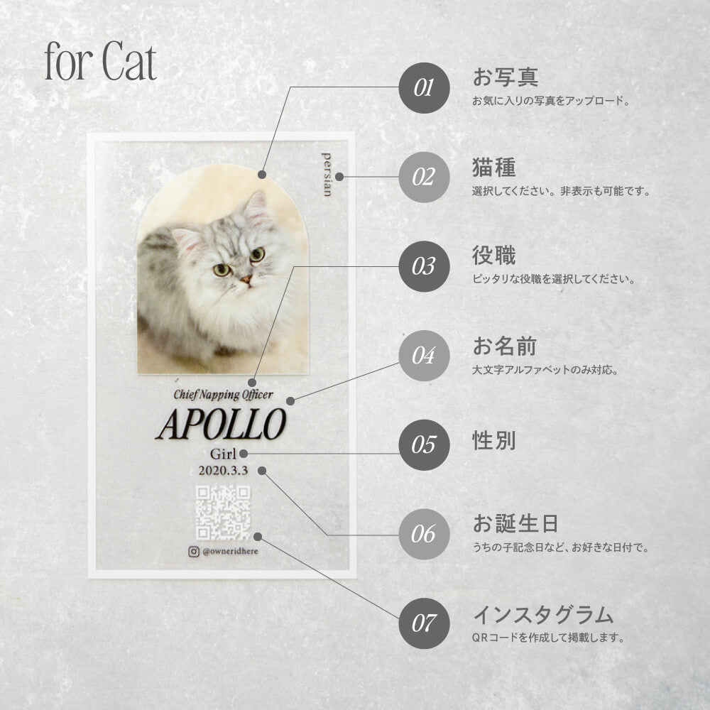 クリアメロウカード for DOG（ペット名刺・うちの子名刺）【オーダー 